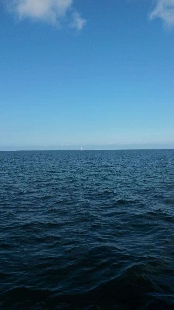 Oj, en till segelbåt. Siktades onsdag förmiddag. Någon annan har vi inte sett. Båten förde svensk flagg, men var för långt bort för att vår vink skulle kunna besvaras.